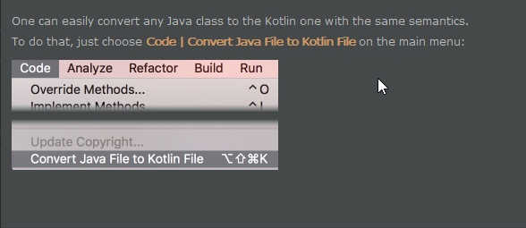 Easily convert any Java class to the Kotlin one with the same semantics